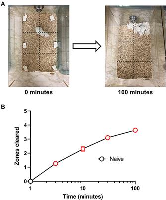 Morphine Exacerbates Experimental Colitis-Induced Depression of Nesting in Mice